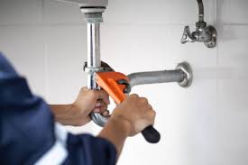 Best Green Plumbing Solutions and Water Conservation  in Fremont, IN